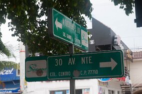 DSC_4449 null