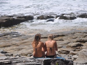 Noosa National Park Noosa National Park (24 November 2010)