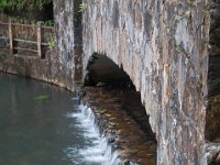 DSC_5537 El Yunque National Forest -- A trip to Puerto Rico -- 18 March 2017