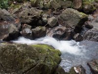 DSC_5565 El Yunque National Forest -- A trip to Puerto Rico -- 18 March 2017