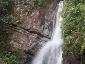 El Yunque (18 Mar 17) El Yunque National Forest (18 March 2017)