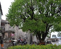 DSC_5276 St. Paul de Vence
