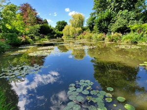 Giverny Gardens (Aug 21) Giverny Gardens (13 August 2021)