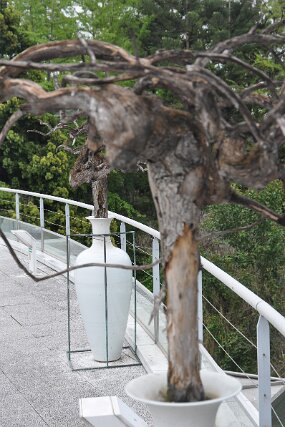 DSC_6275 null