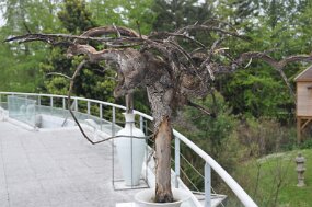 DSC_6276 null