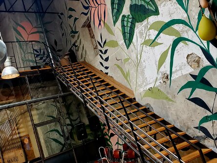 The Occitania Department Visits to the Occitania department (Le Garage hotel, Bambouseraie garden)