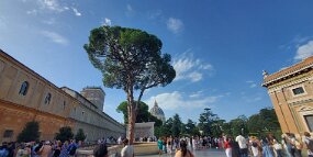 20250725_091911 null