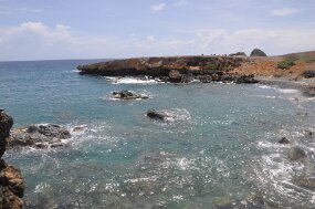 DSC_8120 null