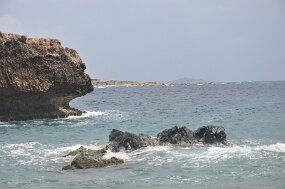 DSC_8128 null