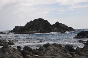 DSC_8009 null