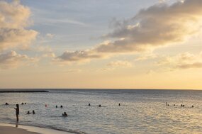 DSC_7869 null