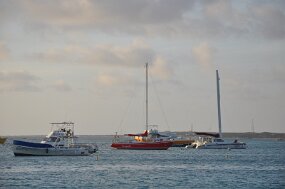 DSC_7870 null