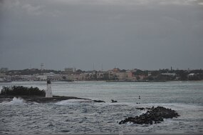 DSC_6599 null