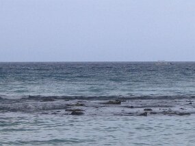 IMG_1785 null