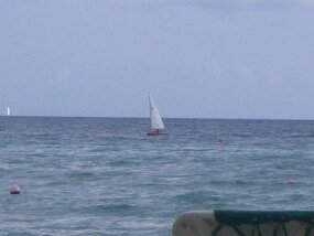IMG_1788 null