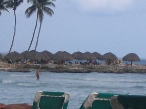 IMG_1789 null