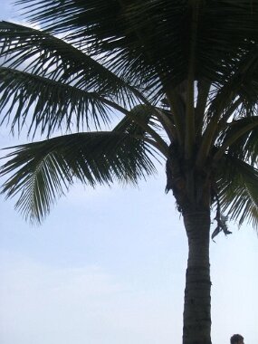 IMG_1791 null