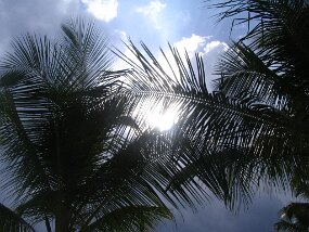 IMG_1792 null