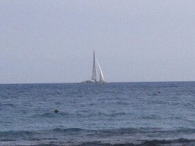 IMG_1801 null