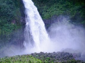 SAM_0184 null