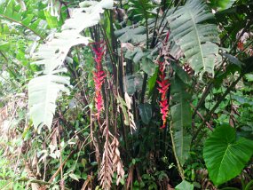 SAM_0189 null