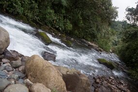 DSC_0269 null