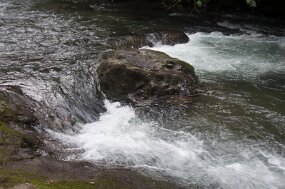 DSC_0274 null