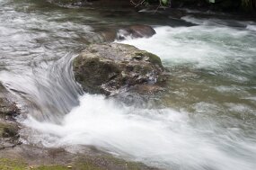 DSC_0276 null