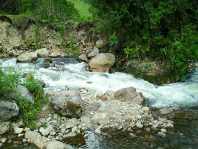 SAM_0204 null
