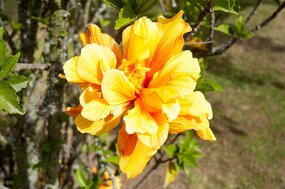 DSC_9882 null