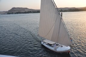 DSC_7698 null
