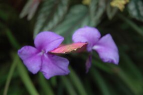 DSC_7391 null