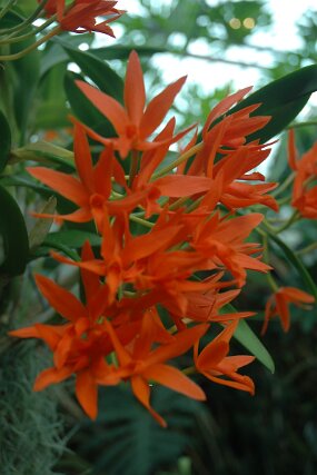 DSC_7452 null