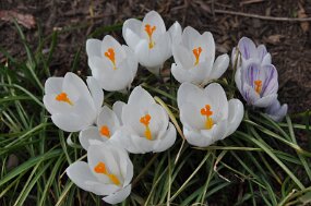 DSC_0189 null