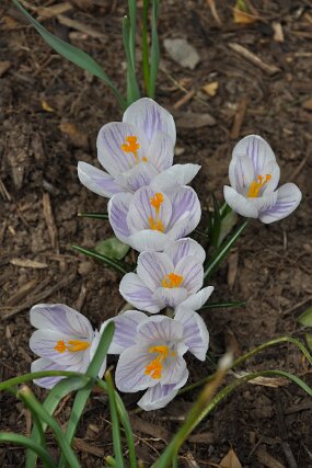 DSC_0190 null