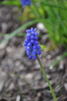 DSC_0238 null