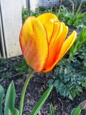 20150428_183500 null