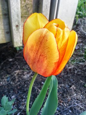 20150428_183504 null