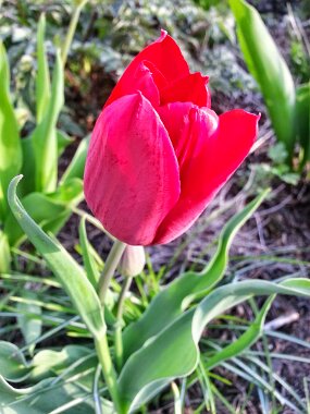 20150428_183510 null