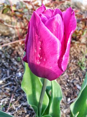 20150428_183521 null