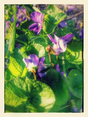 20150428_183544-EFFECTS null