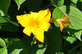 DSC_1273 null