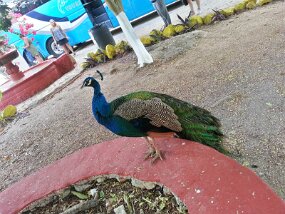 20161206_112257_HDR null