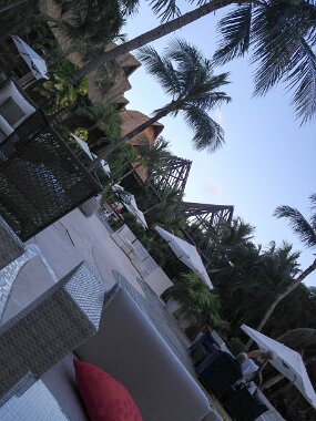 IMG_0776 null