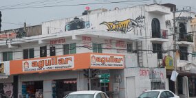 DSC_4447 null