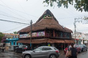 DSC_4454 null