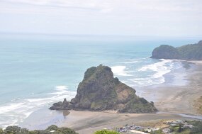 DSC_1301 null