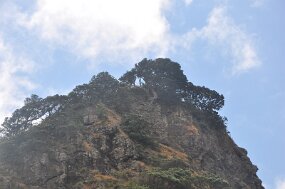 DSC_1325 null