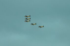 DSC_0704 null
