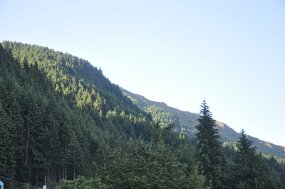 DSC_0536 null